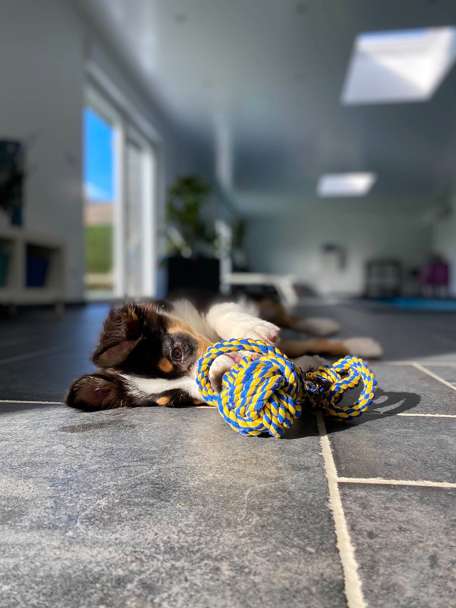 Rio participe au concours pour gagner de l'argent avec cette photo : architecture, asphalt, blue, child, floor, flooring, house, personal_protective_equipment, photography, road, road_surface, room, shoe, street, tile, yellow
