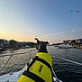 dog, life_jacket, boat, water, sunset, sky, bird, houses, dock, outdoor, animal, pet, canine, watercraft, calm, nature, travel, recreation, leisure, scenic