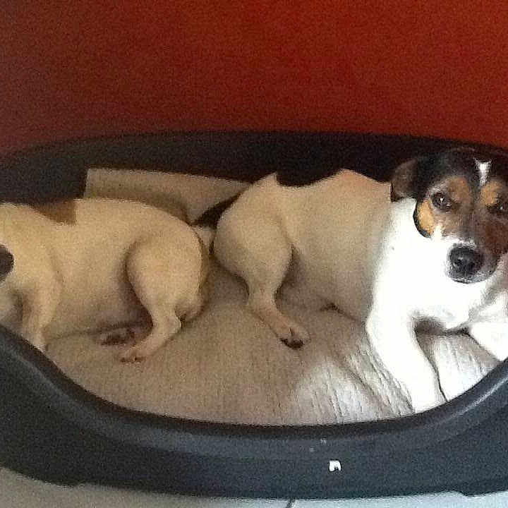 Margaux Et Jules