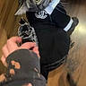 animal, apparel, black_clothing, cat, clothing, curious, cute, domestic_animal, feline, floor, hand, indoor, looking_up, person, pet, tabby, tail, whiskers, white_collar, wooden_floor