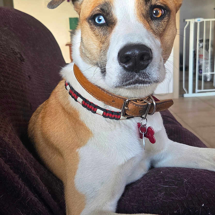 Nalla
