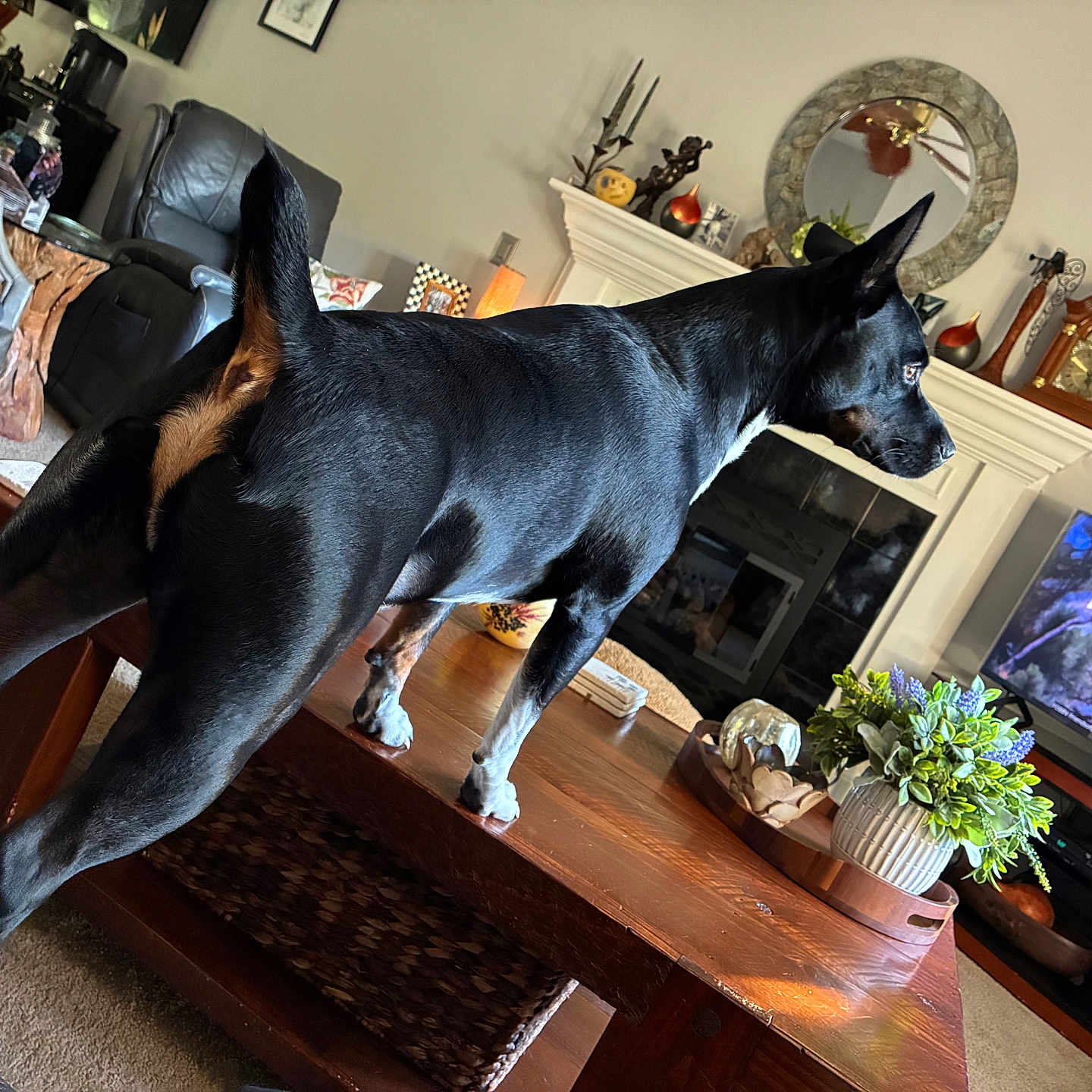 Otto