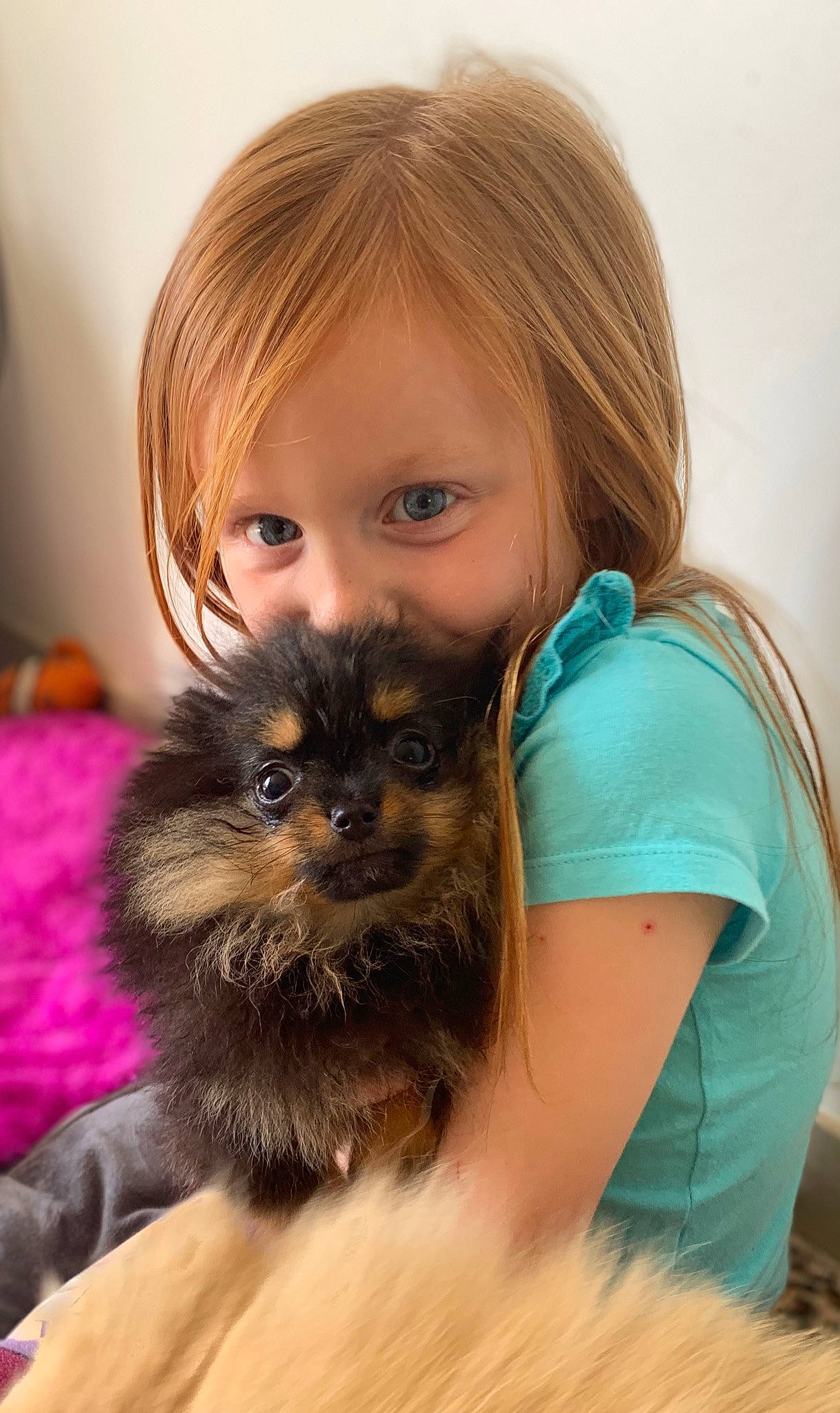 Willow a rejoint le concours — aidez-le/la à gagner de superbes lots ! arm, carnivore, companion_dog, dog_breed, ear, eye, eyelash, facial_expression, fawn, felidae, hair, happy, head, iris, long_hair, neck, person, shoulder, skin, snout