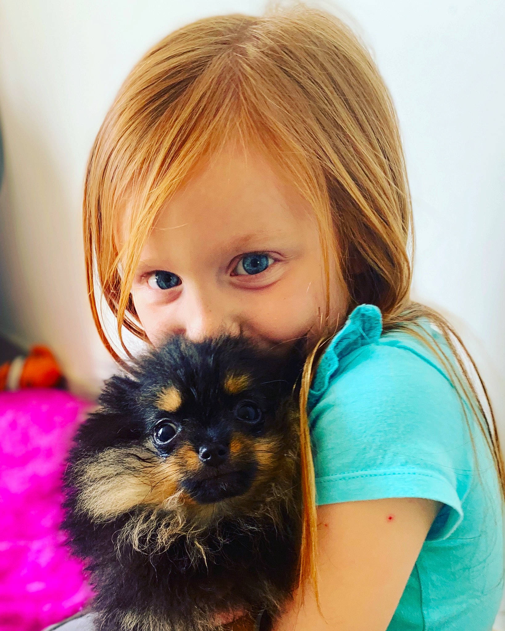 Willow participe au concours pour gagner de l'argent avec cette photo : bangs, blond, brown_hair, canidae, carnivore, cat, child, companion_dog, dog, dog_breed, eye, hair, hairstyle, human, iris, long_hair, nose, person, puppy, skin