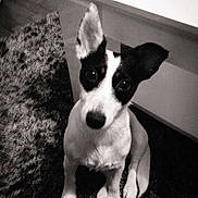 Idylle participe au concours pour gagner de l'argent avec cette photo :