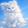 Savannah Faye joined the competition — help win amazing prizes! cloud, cat, sky, blue_sky, fluffy, white, animal_shape, imaginative, surreal, nature, weather, daytime, outdoor, whimsical, fantasy, soft, bright, cumulus, artistic, cute