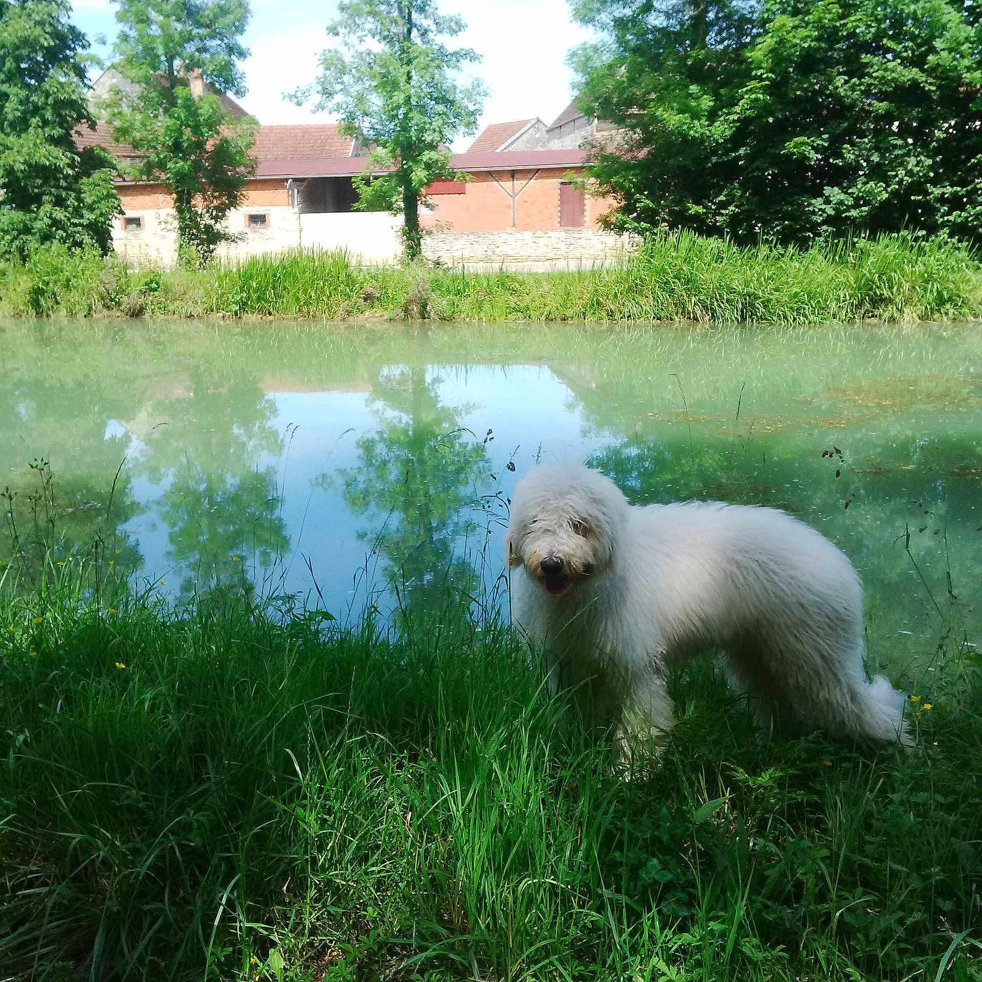 Idylle