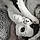 Lune
