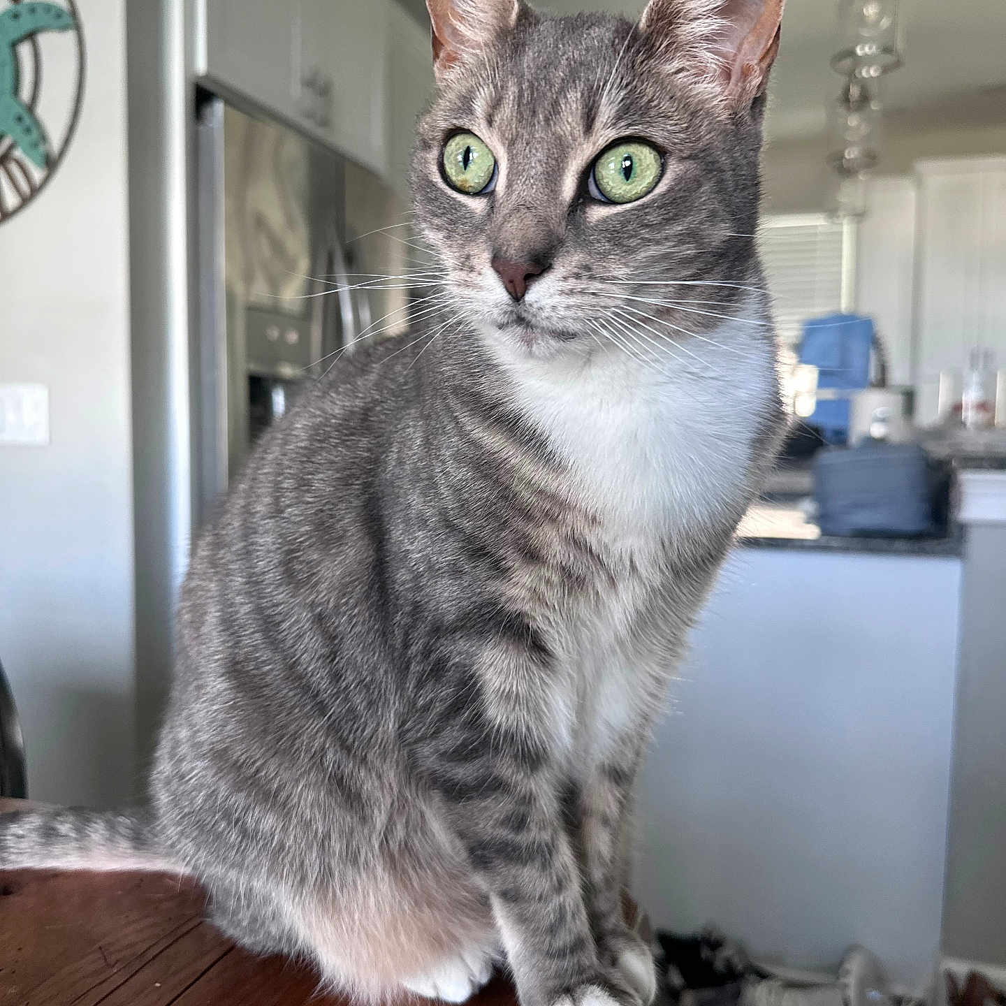Nala