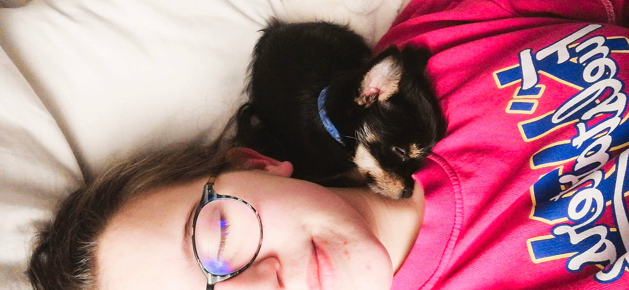 Odette participe au concours pour gagner de l'argent avec cette photo : black_hair, canidae, carnivore, cat, ear, eye, felidae, finger, fur, kitten, leg, nap, neck, rat, skin, small_to_medium_sized_cats, tail, whiskers