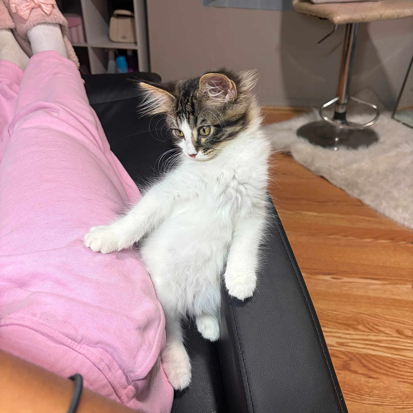 Milo