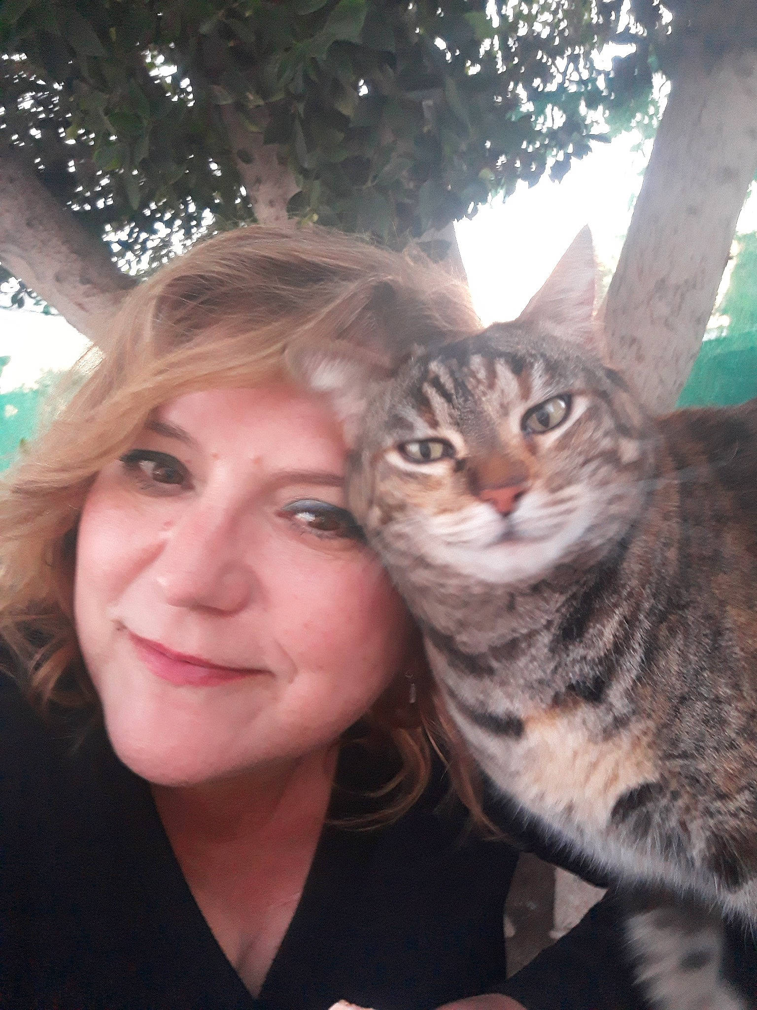 Lizzie joined the competition — help win amazing prizes! american_shorthair, asian, carnivore, cat, domestic_short_haired_cat, ear, european_shorthair, eye, felidae, fur, iris, long_hair, nose, person, photography, selfie, skin, small_to_medium_sized_cats, smile, tabby_cat
