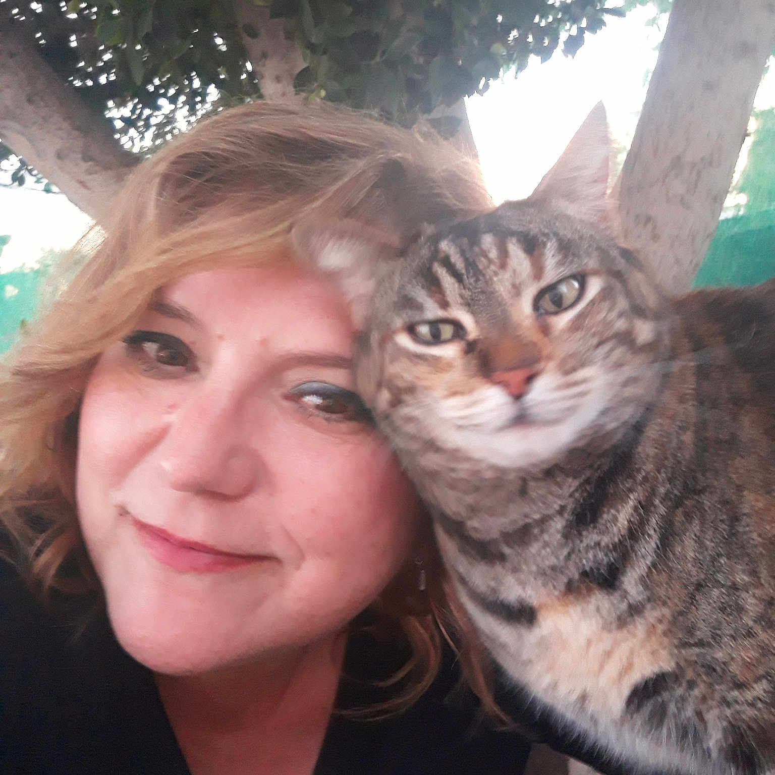Lizzie joined the competition — help win amazing prizes! american_shorthair, asian, carnivore, cat, domestic_short_haired_cat, ear, european_shorthair, eye, felidae, fur, iris, long_hair, nose, person, photography, selfie, skin, small_to_medium_sized_cats, smile, tabby_cat