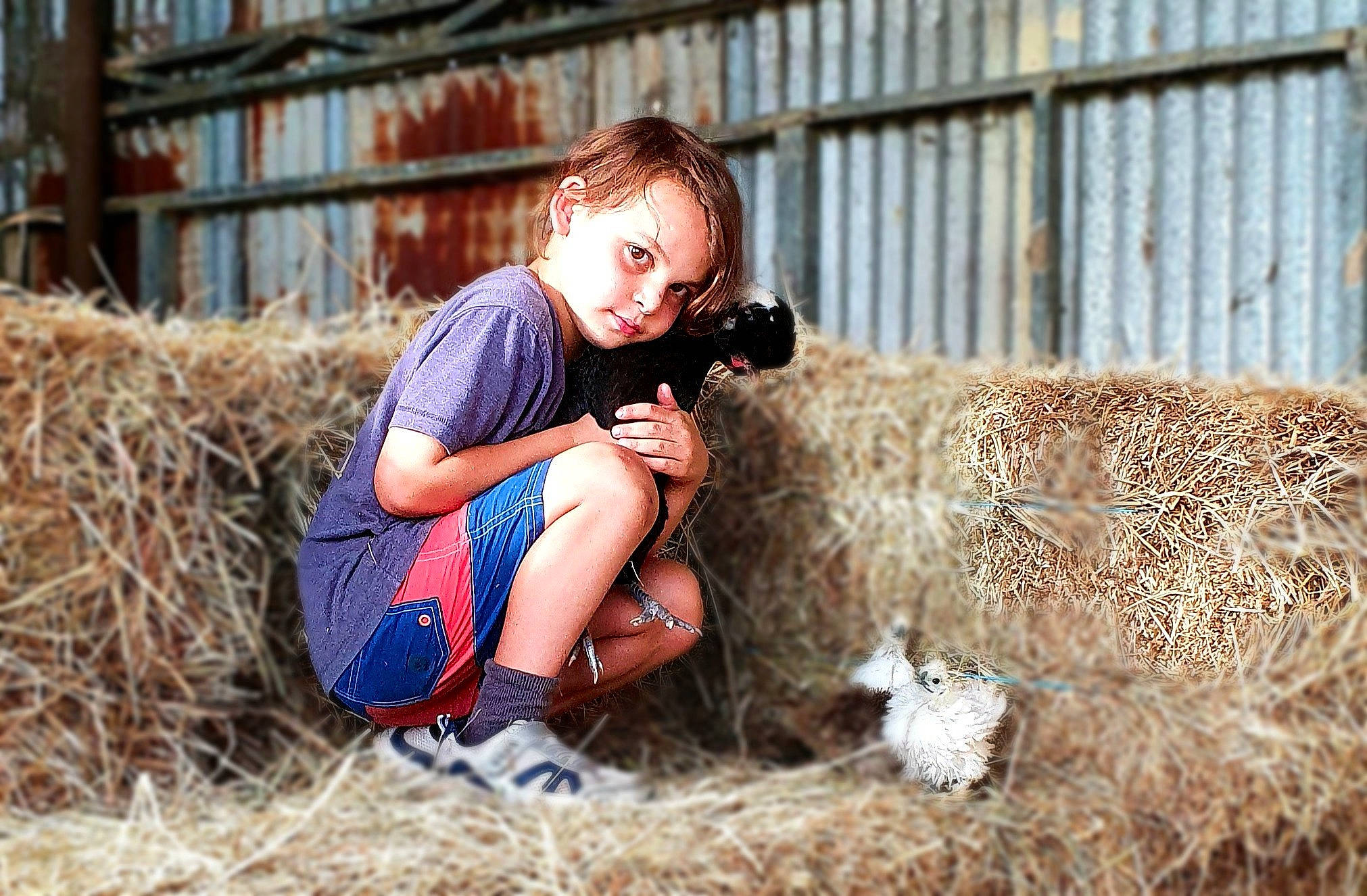 Kyron joined the competition — help win amazing prizes! child, cow_goat_family, family, farm, fawn, fur, goats, hay, livestock, person, photography, sheep, straw