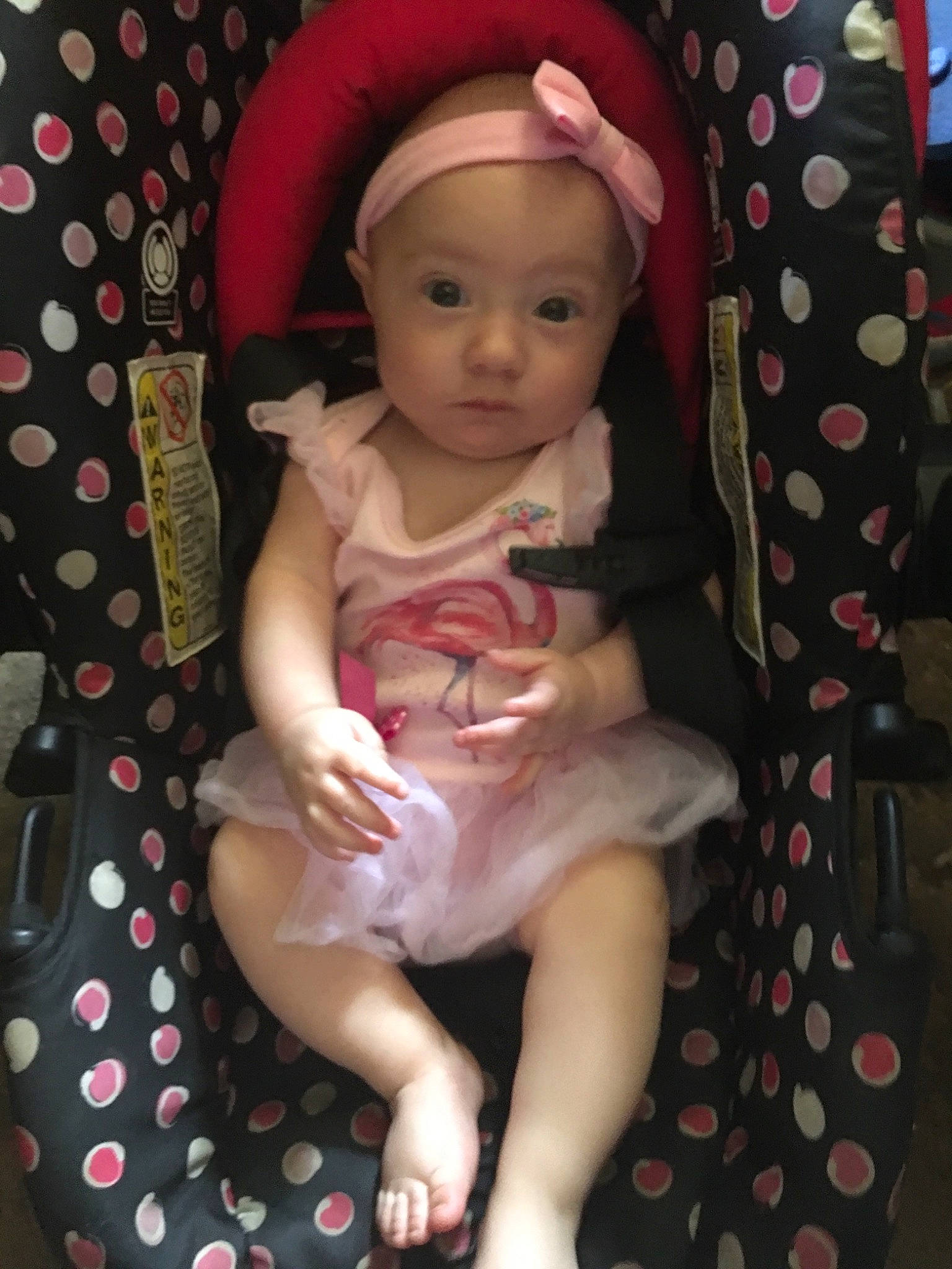 Kacie is registered to the contest to win money with this photo: baby, cheek, child, design, doll, fawn, head, pattern, person, pink, polka_dot, product, skin, toddler, toy