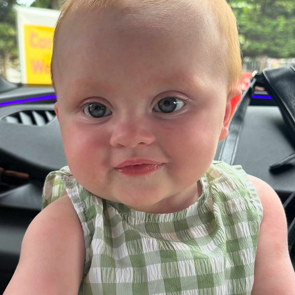 Autumn is registered to the contest to win money with this photo: arm, baby, car_interior, child, clothing, cute, daylight, expression, eyes, face, green_checkered_dress, head, infant, mouth, person, portrait, seat, skin, trees, window