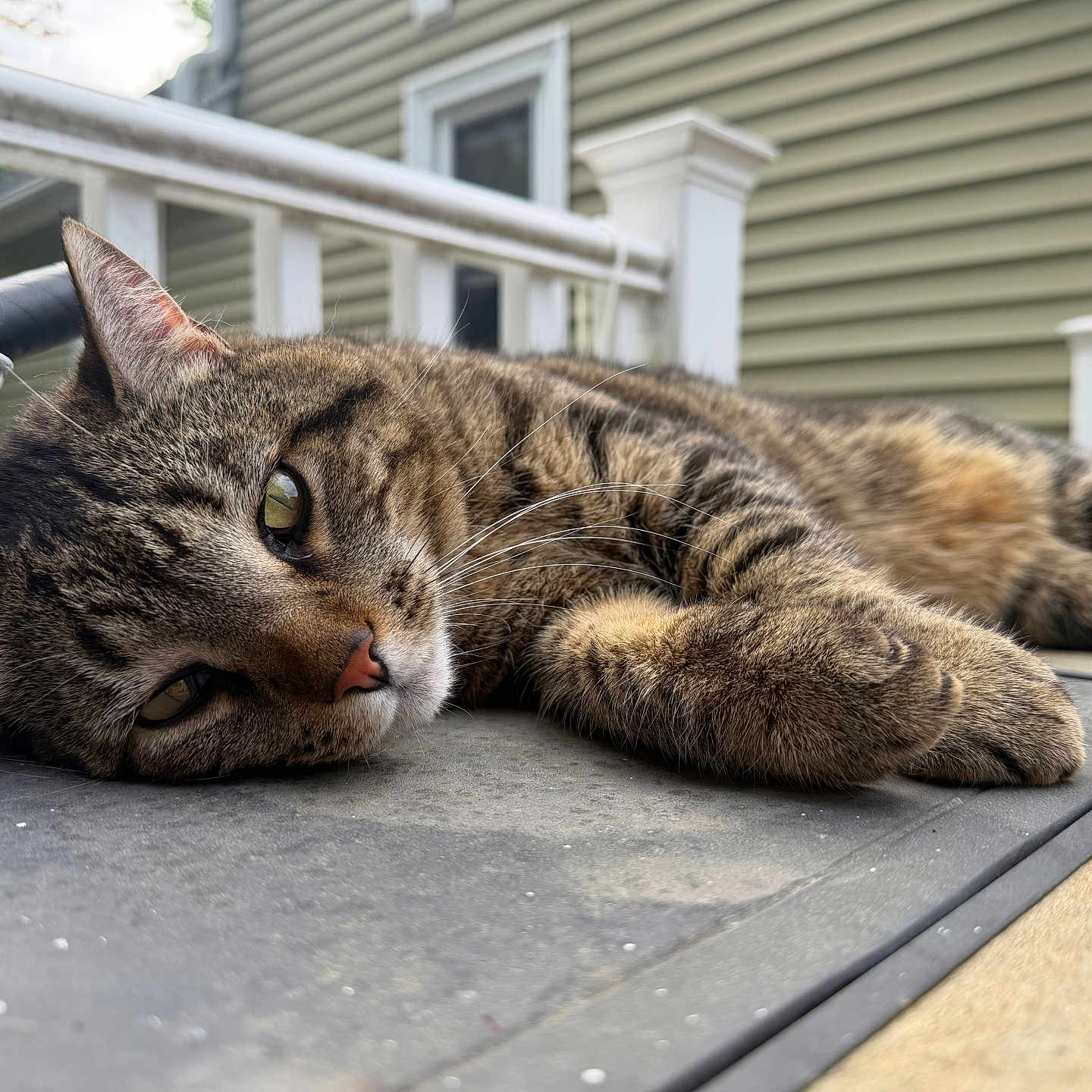 Loki