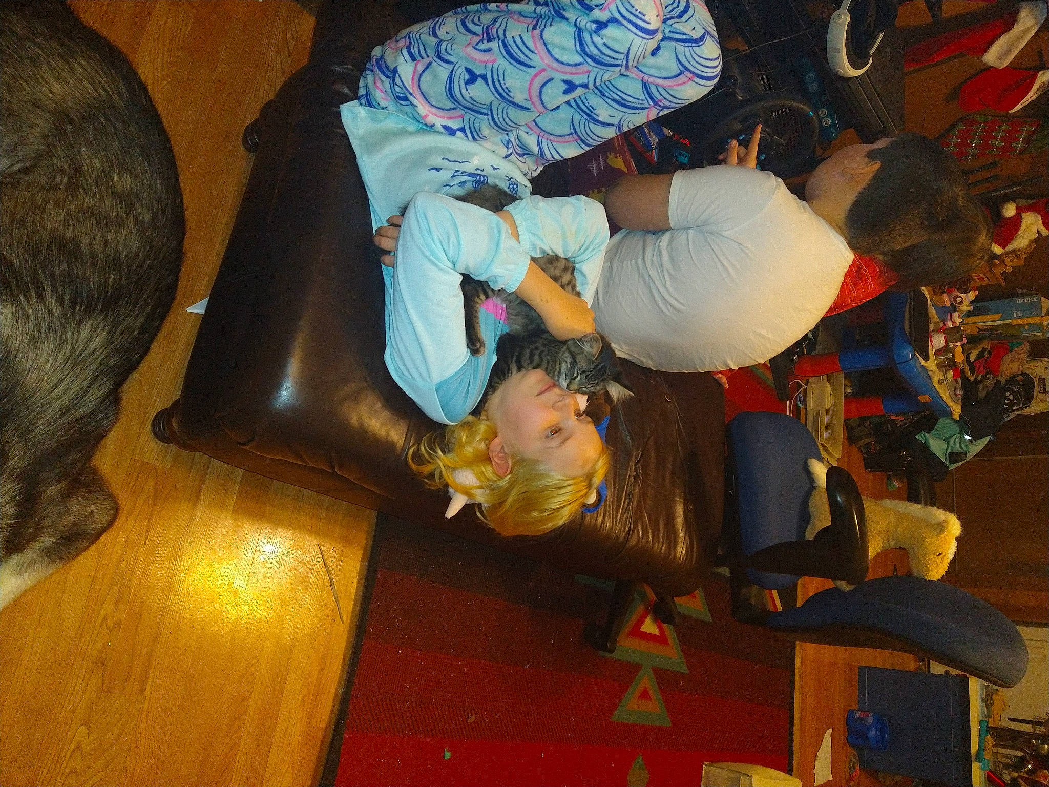 Jamie is registered to the contest to win money with this photo: child, comfort, event, felidae, flooring, fun, fur, hardwood, hat, human_leg, lap, person, room, t_shirt, tail, wood, wood_flooring