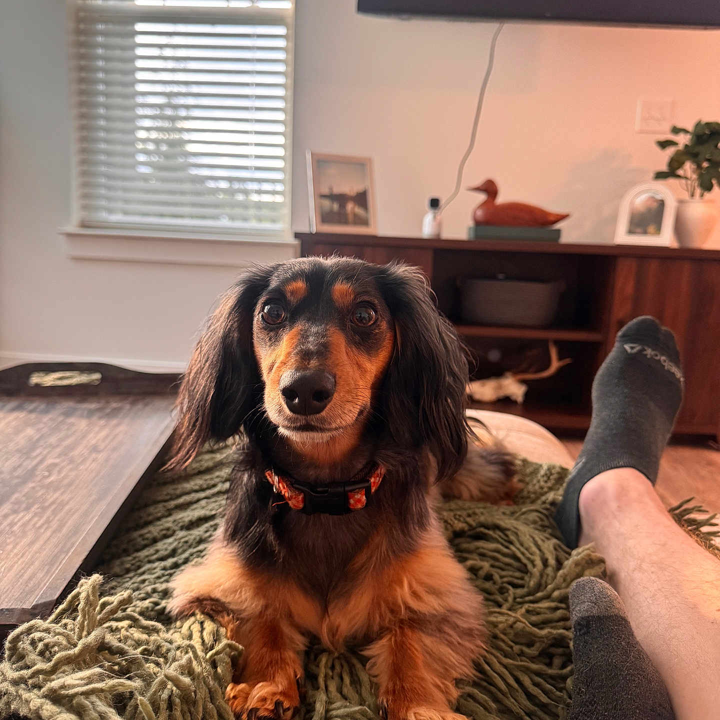 Marley