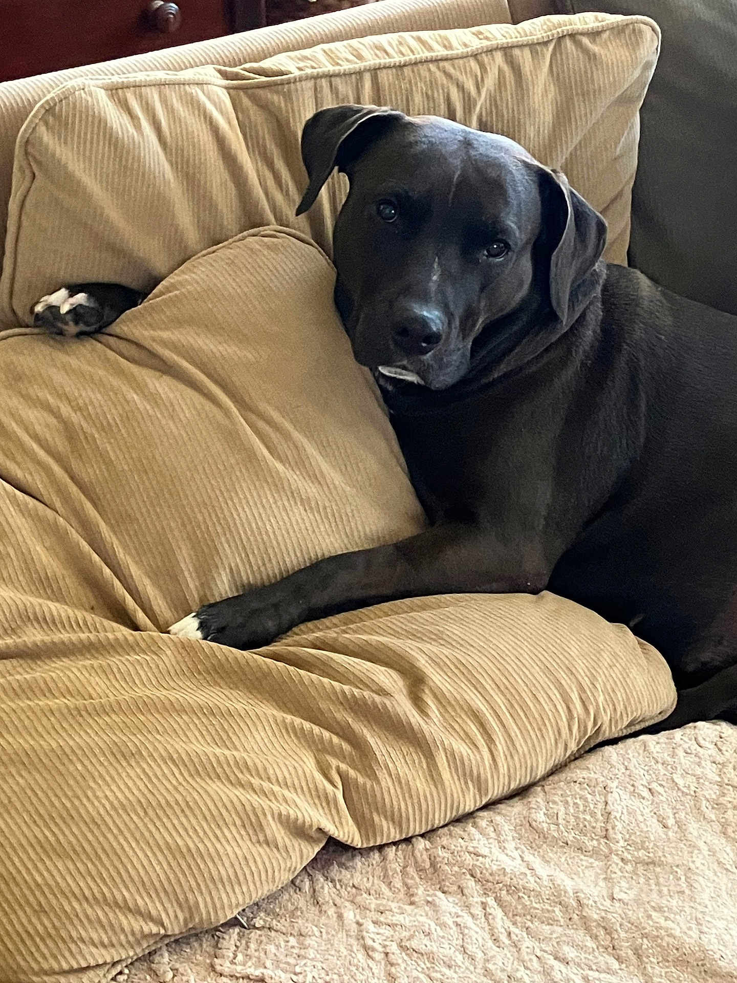 Winnie