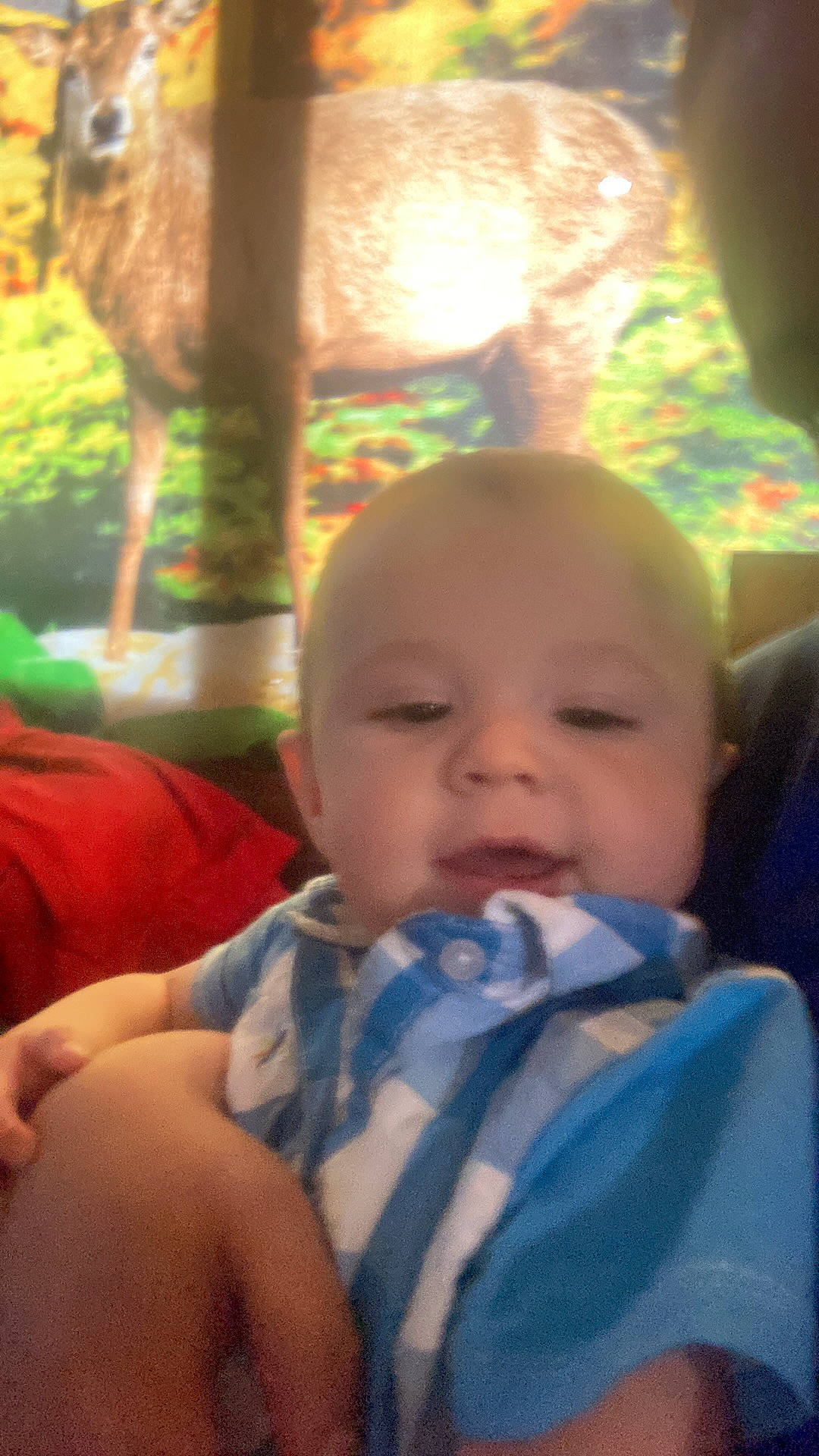 Abel is registered to the contest to win money with this photo: baby, baby_toddler_clothing, cheek, child, ear, facial_expression, finger, fun, grass, happy, human_body, iris, mammal, mouth, nose, person, skin, smile, toddler, tree