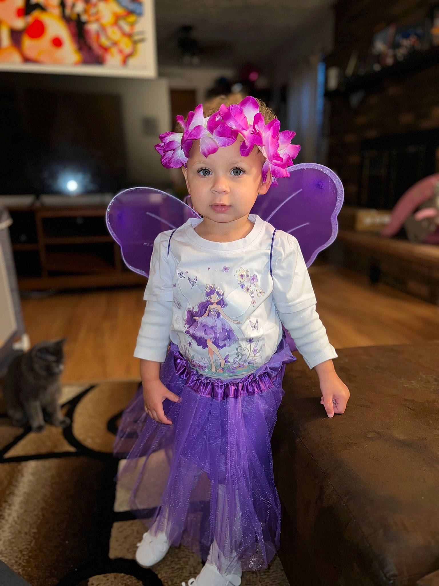 Luna is registered to the contest to win money with this photo: baby_toddler_clothing, embellishment, entertainment, event, fashion_accessory, fashion_design, fun, hair_accessory, happy, headgear, headpiece, headwear, iris, magenta, person, picture_frame, pink, purple, television, toddler