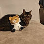 cat, tabby_cat, plush_toy, teddy_bear, couch, furniture, indoor, pet, animal, cozy, soft_lighting, beige, brown, black, white, resting, cute, stuffed_animal, home, relaxation