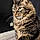 Nala