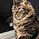 Nala