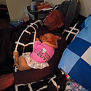 Queenie joined the competition — help win amazing prizes! man, dog, sleeping, bed, blanket, pillow, indoor, clothing, pet, rest, cute, snuggle, pink, dress, human, furniture, comfort, relaxation, companion, animal