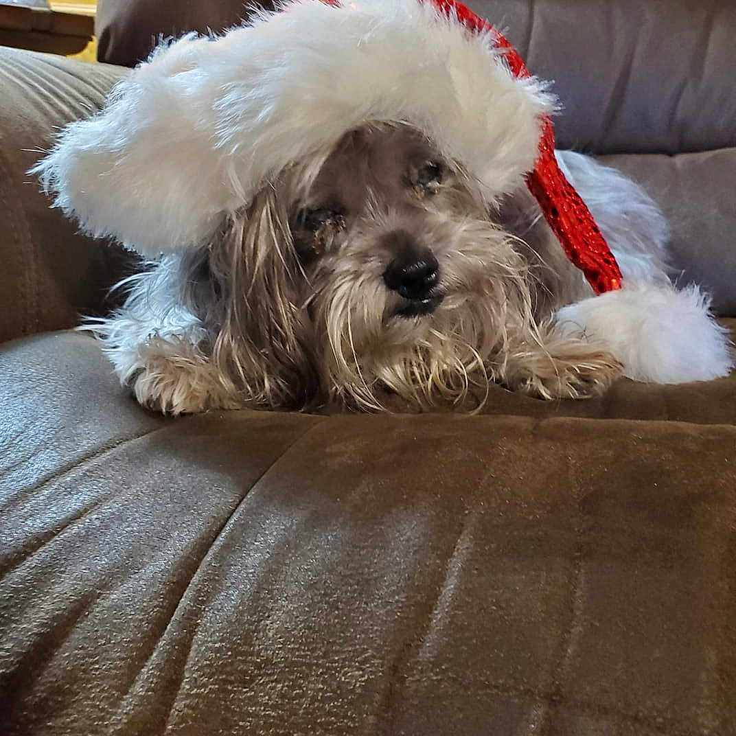 Molly