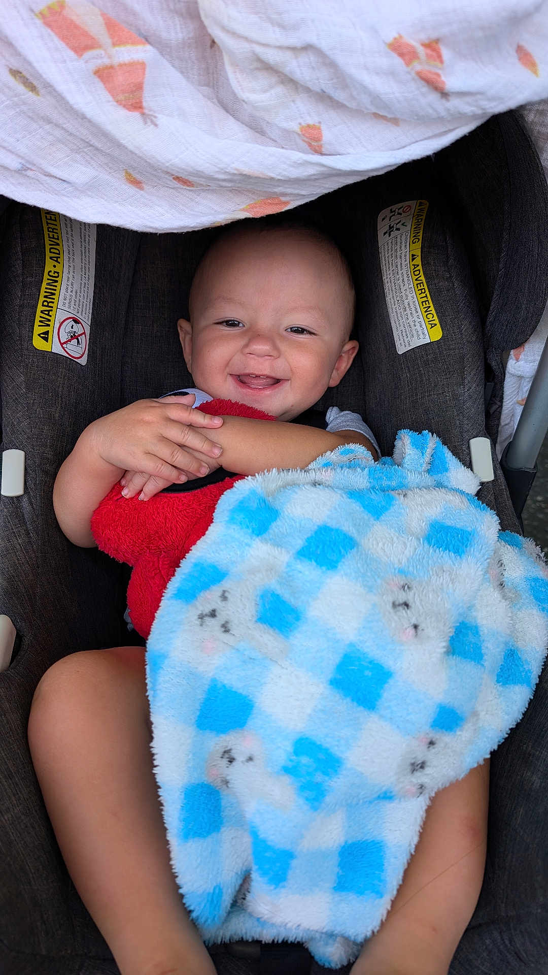 Wyatt