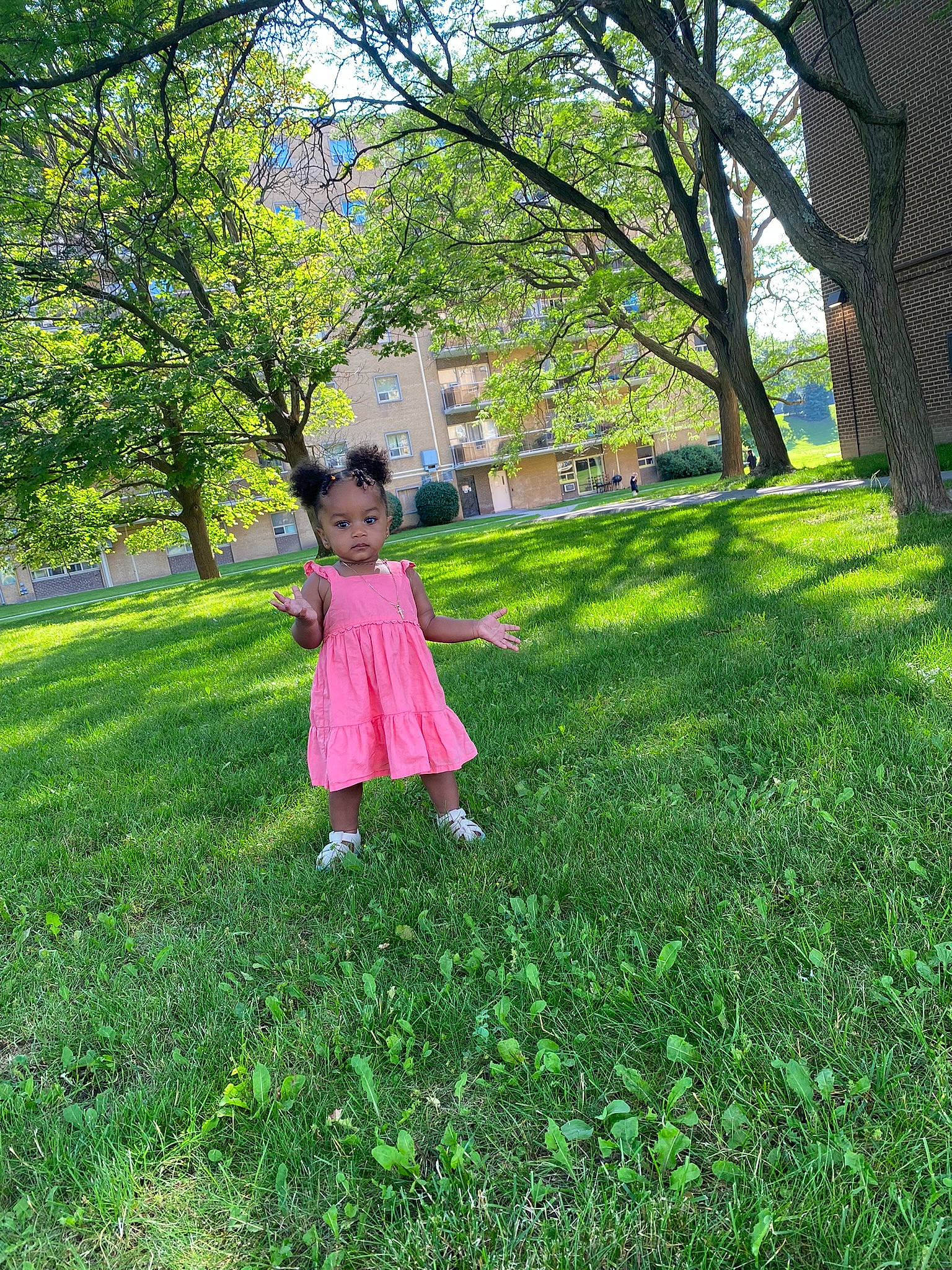 Aaliyah joined the competition — help win amazing prizes! branch, grass, grass_family, grassland, green, groundcover, happy, leaf, leisure, meadow, people_in_nature, person, plant, recreation, shrub, sunlight, tints_and_shades, toddler, tree, vegetation