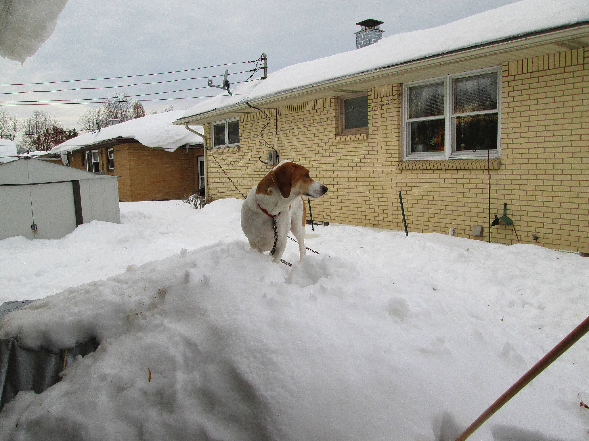 Spooky is registered to the contest to win money with this photo: building, cottage, event, facade, freezing, frost, house, landscape, playing_in_the_snow, precipitation, recreation, roof, siding, sky, slope, snow, tree, window, winter, winter_storm