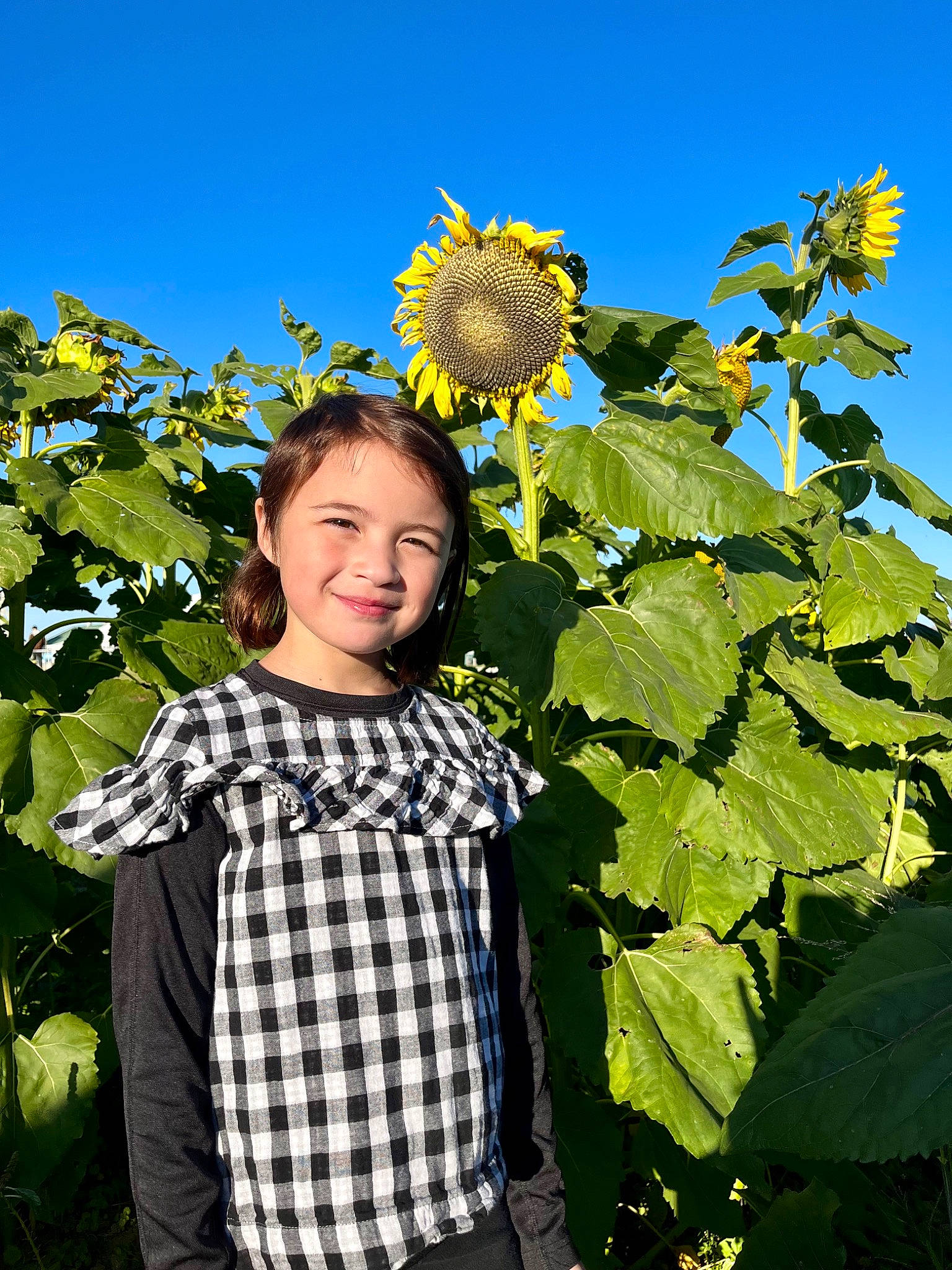 Leilana is registered to the contest to win money with this photo: agriculture, annual_plant, baby_toddler_clothing, child, flower, flowering_plant, grass, happy, joy, leaf, pattern, people_in_nature, person, plaid, plant, sky, sleeve, smile, spring, t_shirt