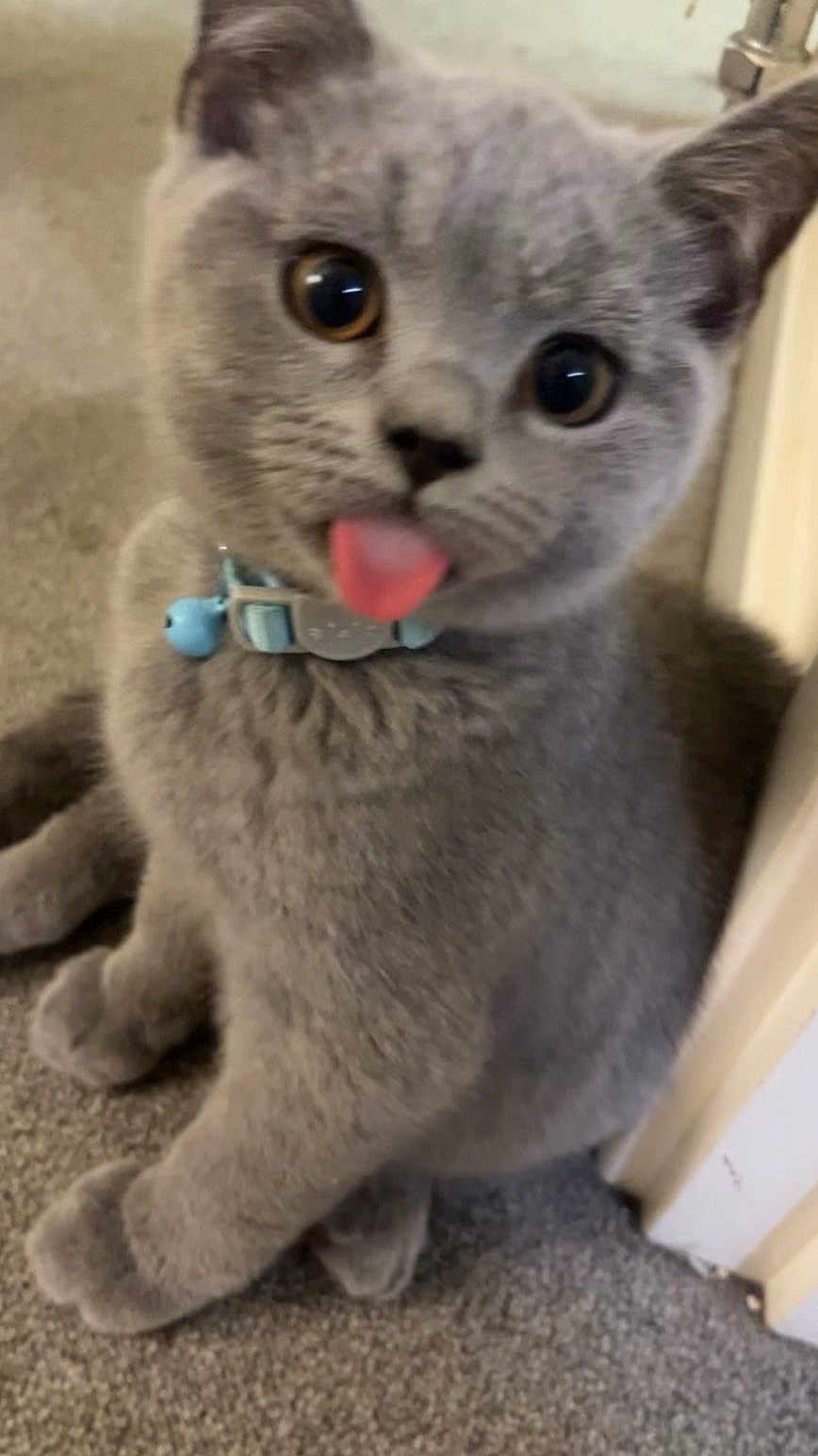 Lennon