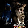 cat, tabby, plush_toy, parrot, stuffed_animal, laptop, stickers, superman, batman, indoor, soft_light, collar, bell, curious, animal, pet, dark_background, cozy, closeup, feline