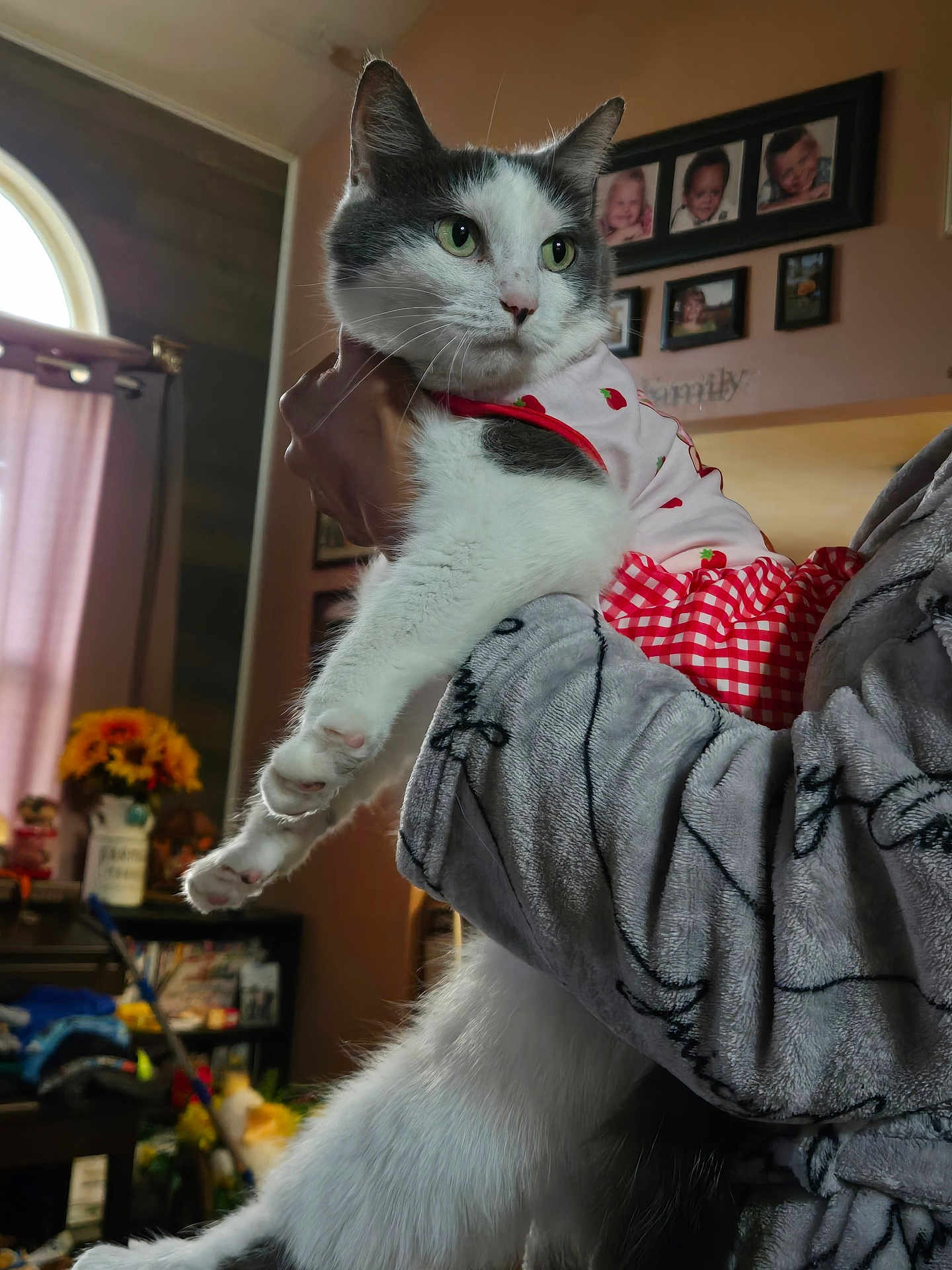 Lilly