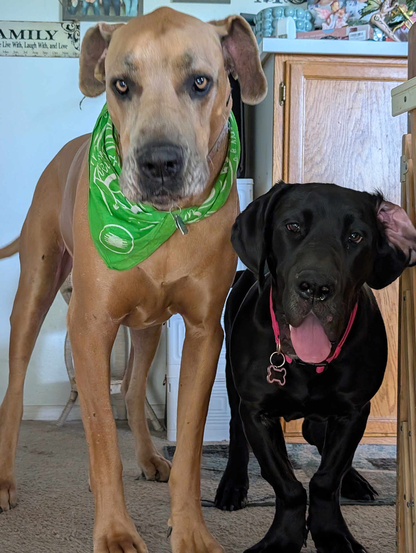Gary And Maggie