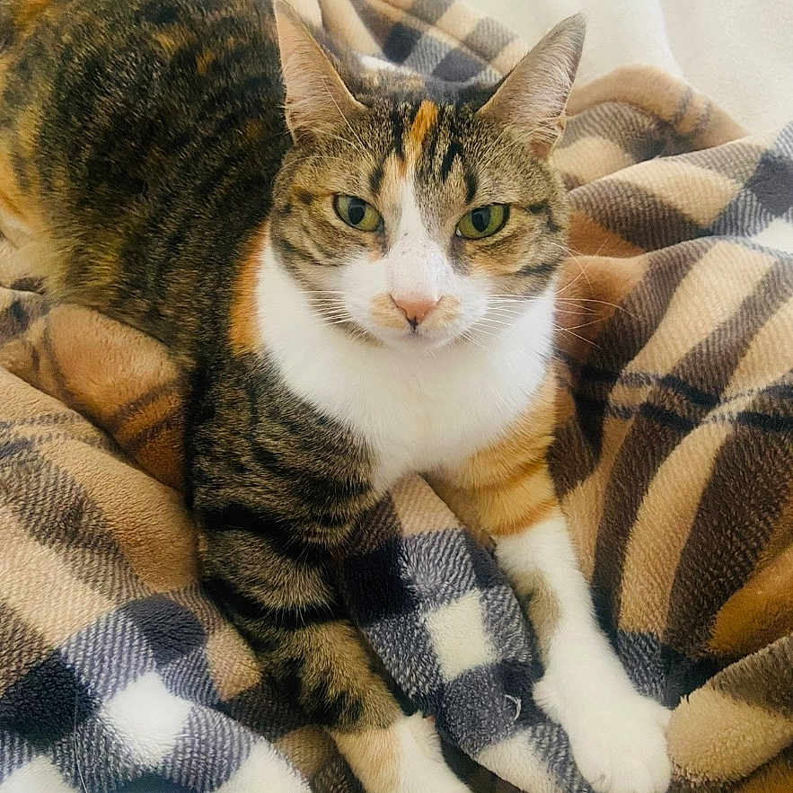 Lucy