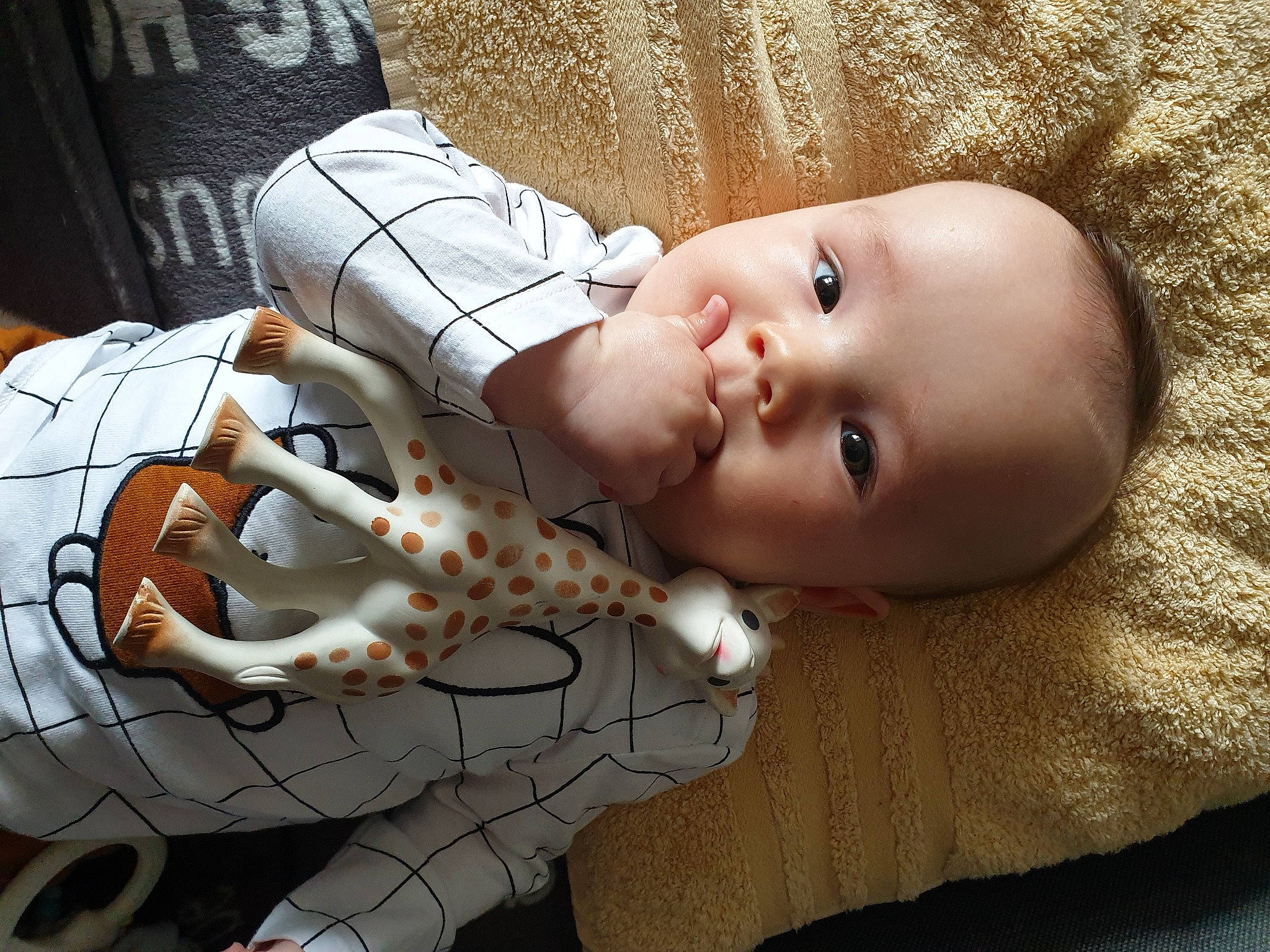 Heyden a rejoint le concours — aidez-le/la à gagner de superbes lots ! baby, baby_products, baby_sleeping, cheek, child, ear, head, person, product, skin, sleep, toddler