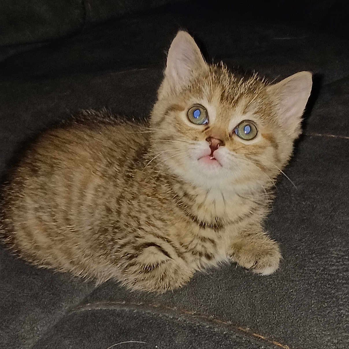Tabatha