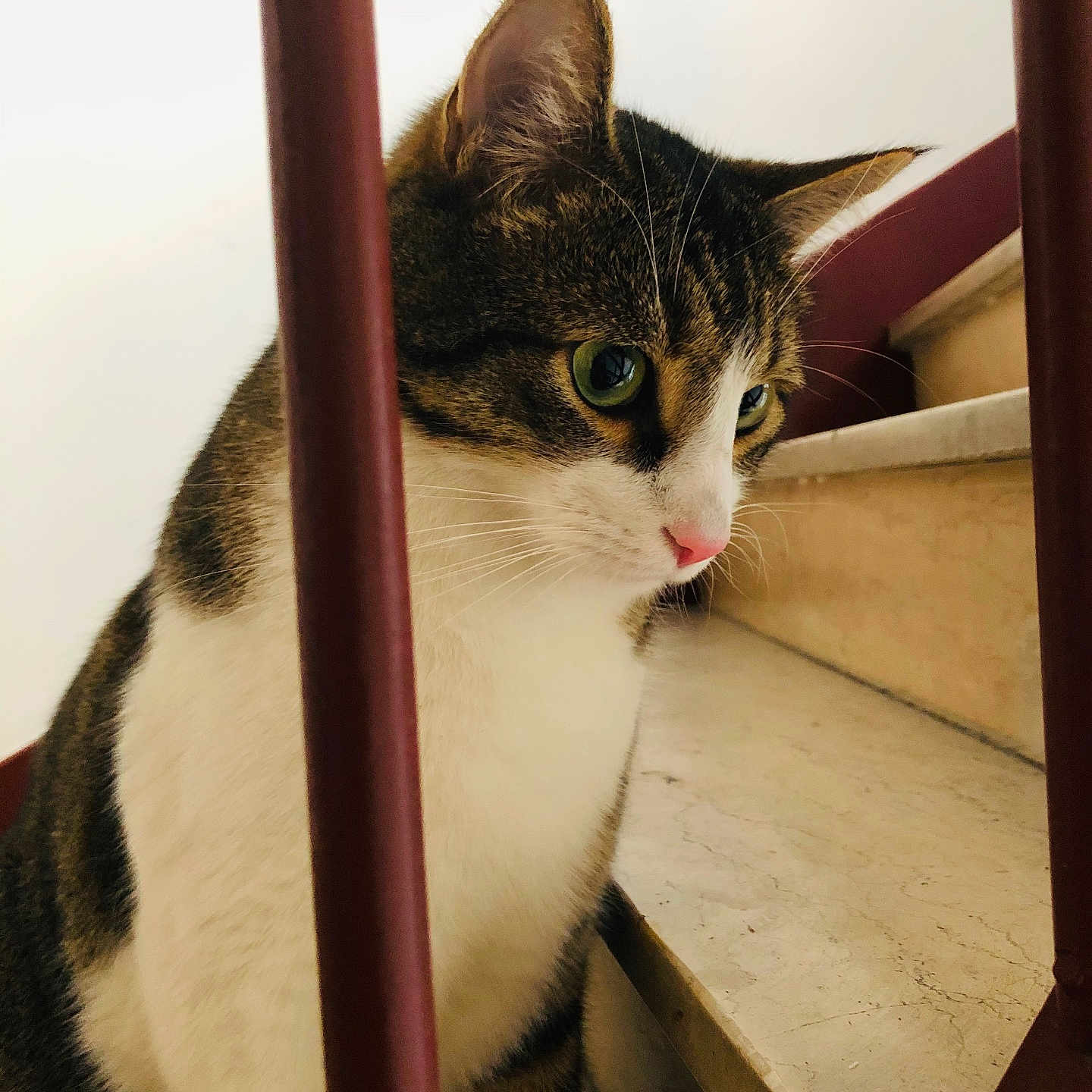 Léo