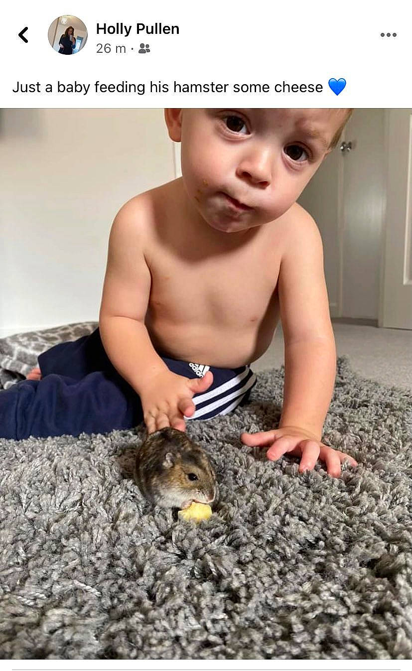 Vinnie joined the competition — help win amazing prizes! adaptation, baby, barechested, chest, child, flash_photography, flooring, fun, happy, headwear, leg, nail, people_in_nature, person, photo_caption, photograph, rodent, sitting, snapshot, soil