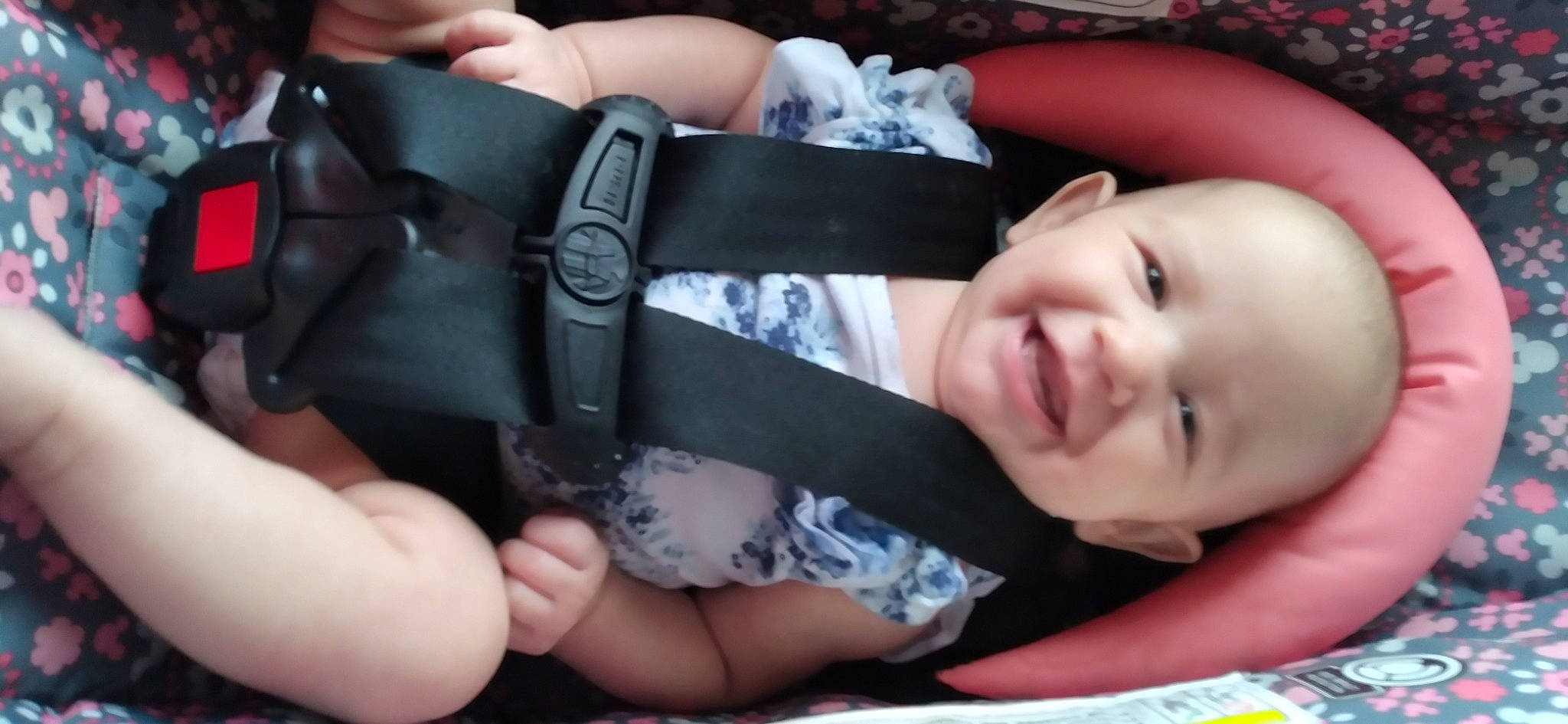 Sennie joined the competition — help win amazing prizes! baby, baby_toddler_clothing, cheek, comfort, finger, fun, gesture, hairstyle, hand, happy, lip, mouth, nail, person, pink, skin, smile, thigh, thumb, toddler