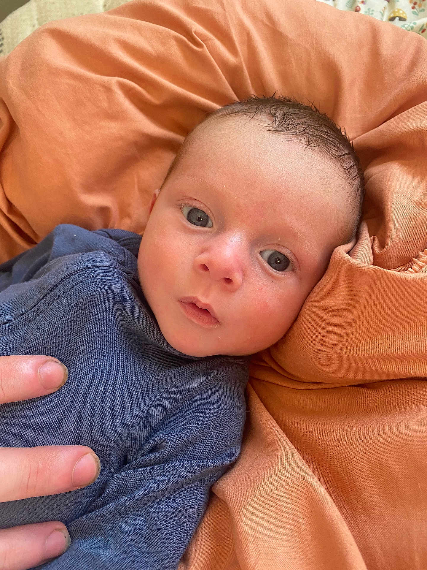 Ezra joined the competition — help win amazing prizes! baby, bed, bedroom, blanket, bodypart, clothing, cushion, face, finger, furniture, hand, head, homedecor, indoors, newborn, person, photography, portrait, quilt, room