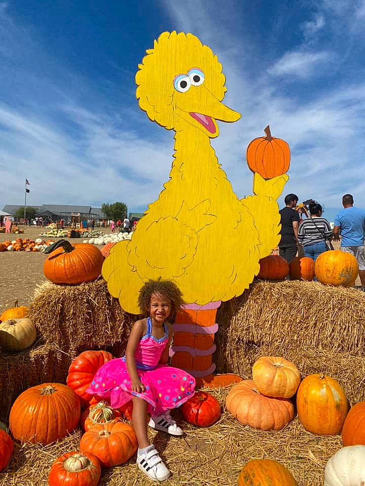 Lyla joined the competition — help win amazing prizes! calabaza, cloud, cucurbita, fun, gourd, happy, joy, leisure, local_food, natural_foods, nature, people, person, plant, pumpkin, sky, squash, travel, tree, vegetable