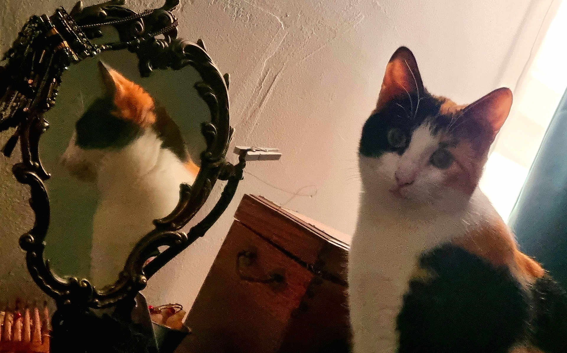 Tekila