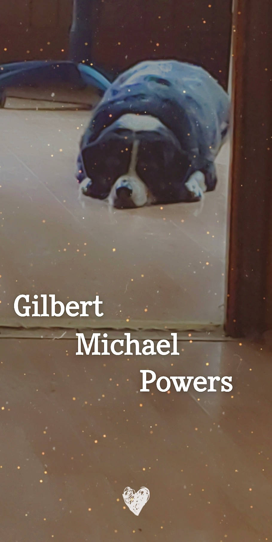 Gilbert is registered to the contest to win money with this photo: advertising, brand, canidae, carnivore, companion_dog, dog, dog_breed, dog_supply, fawn, floor, flooring, font, fur, logo, photo_caption, signage, snout, sporting_group, vehicle_door, window