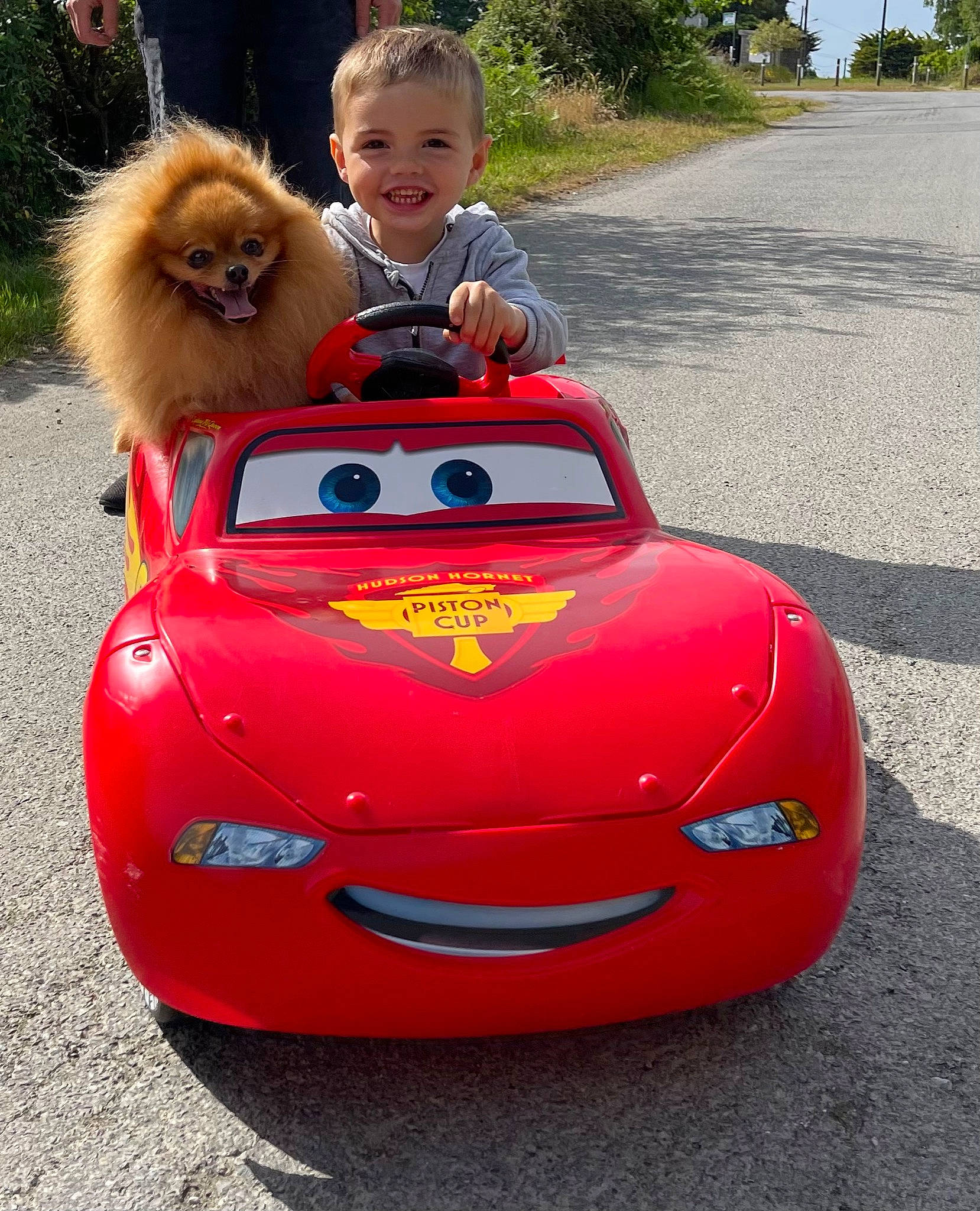 Lywen a rejoint le concours — aidez-le/la à gagner de superbes lots ! automotive_design, automotive_exterior, automotive_lighting, automotive_tire, bumper, car, carnivore, companion_dog, dog, german_spitz, hood, joy, land_vehicle, mode_of_transport, motor_vehicle, person, personal_luxury_car, primate, smile, spitz